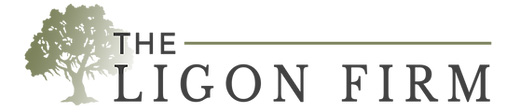 businessName